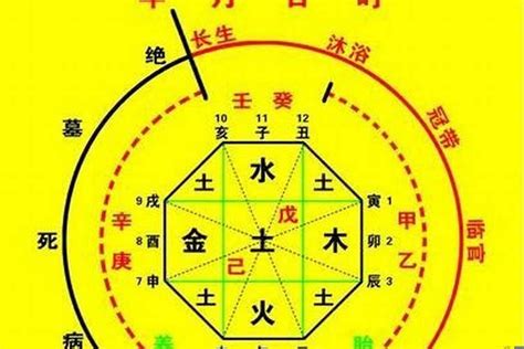 十天干喜忌|八字命理入门基础知识:十天干喜忌详解（建议收藏）